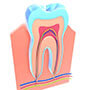 ENDODONTIA MODERNA​